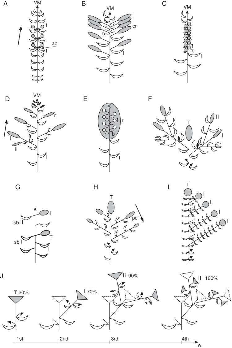 Fig. 8.