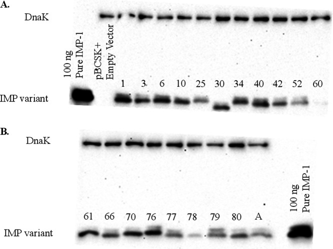 FIG 3