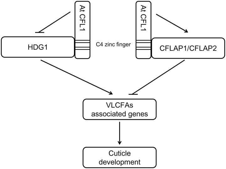 Fig 10