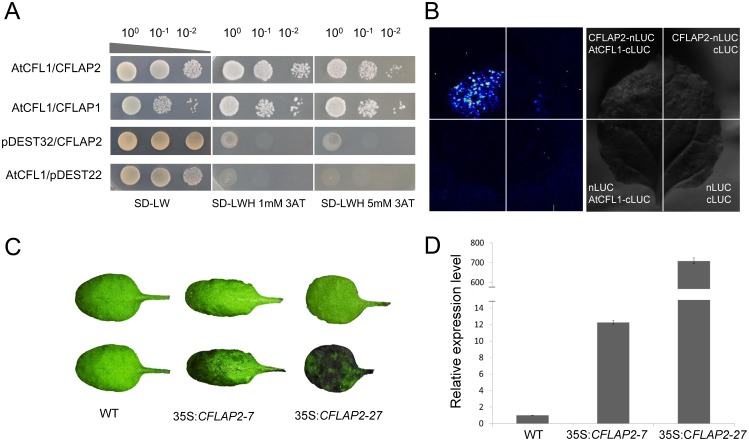 Fig 4