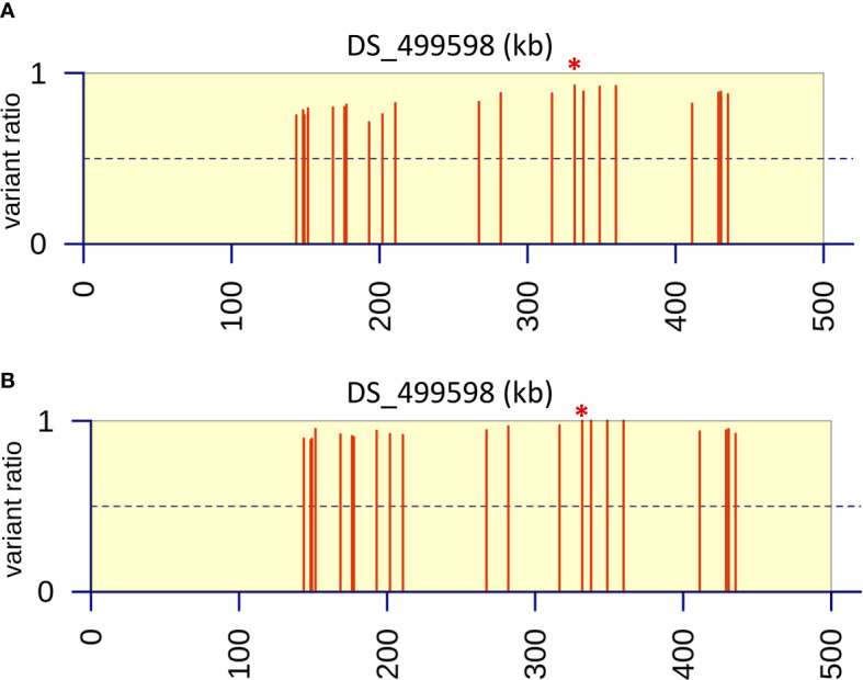 Figure 5