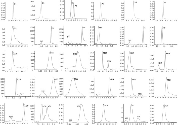 FIGURE 4