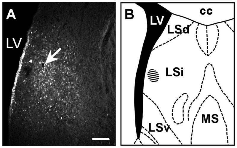 Fig. 13