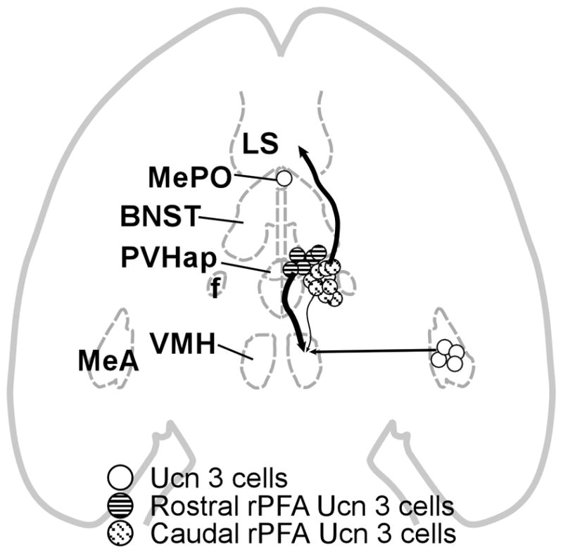 Fig. 16