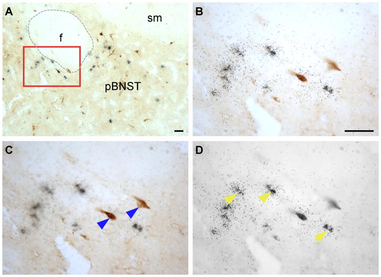 Fig. 15