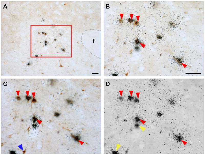 Fig. 14