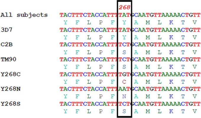 FIG 3