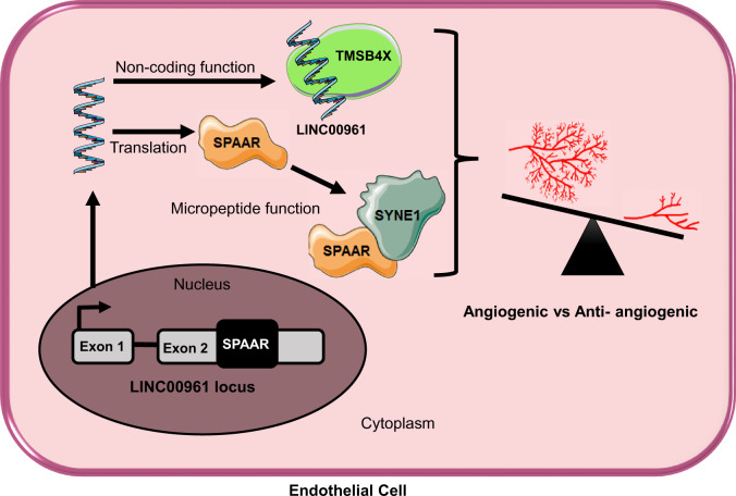 Graphical Abstract