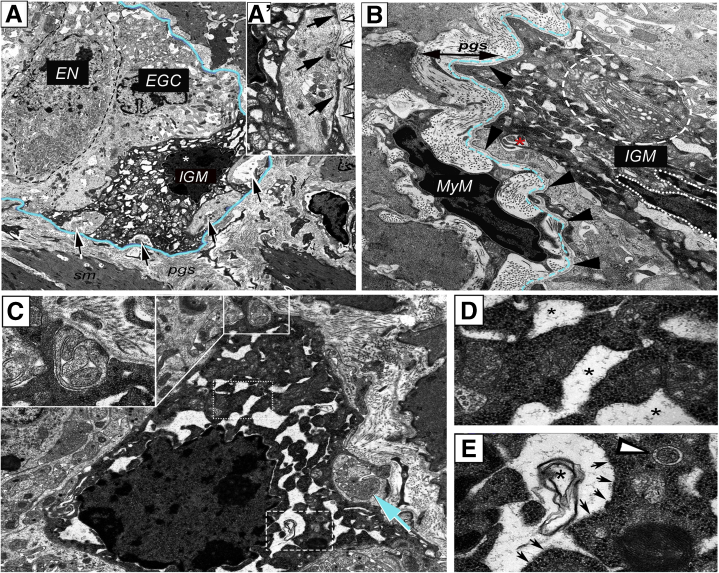 Figure 3