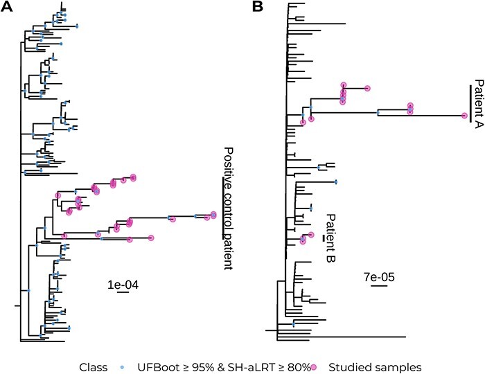 Figure 2.