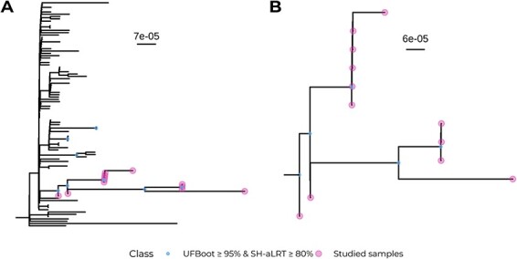 Figure 5.