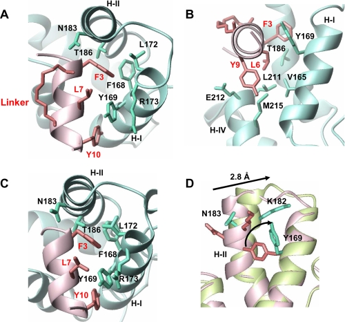 FIGURE 2.