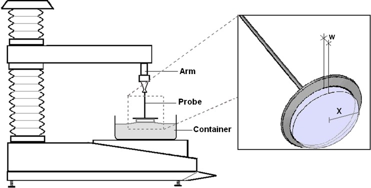 Fig. 1