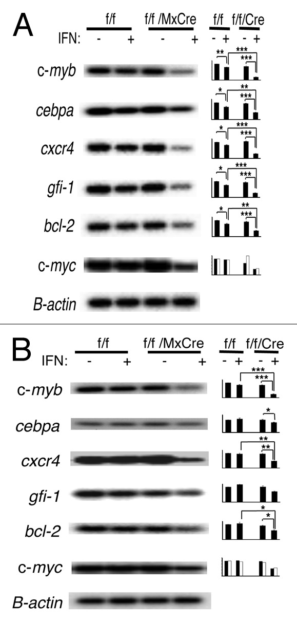 Impaired adult myeloid progenitor CMP and GMP cell function in ...