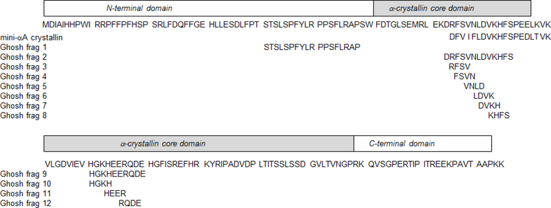 FIGURE 1: