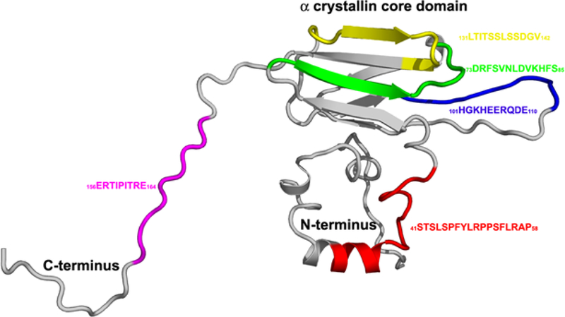 FIGURE 5: