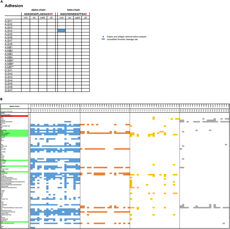 Figure 6