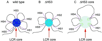 FIG. 6.