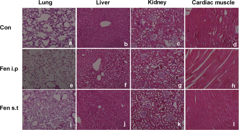 Fig. 9