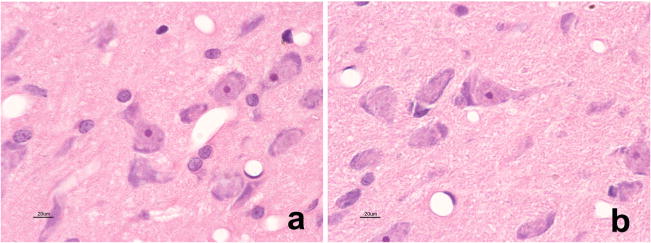 Fig. 8