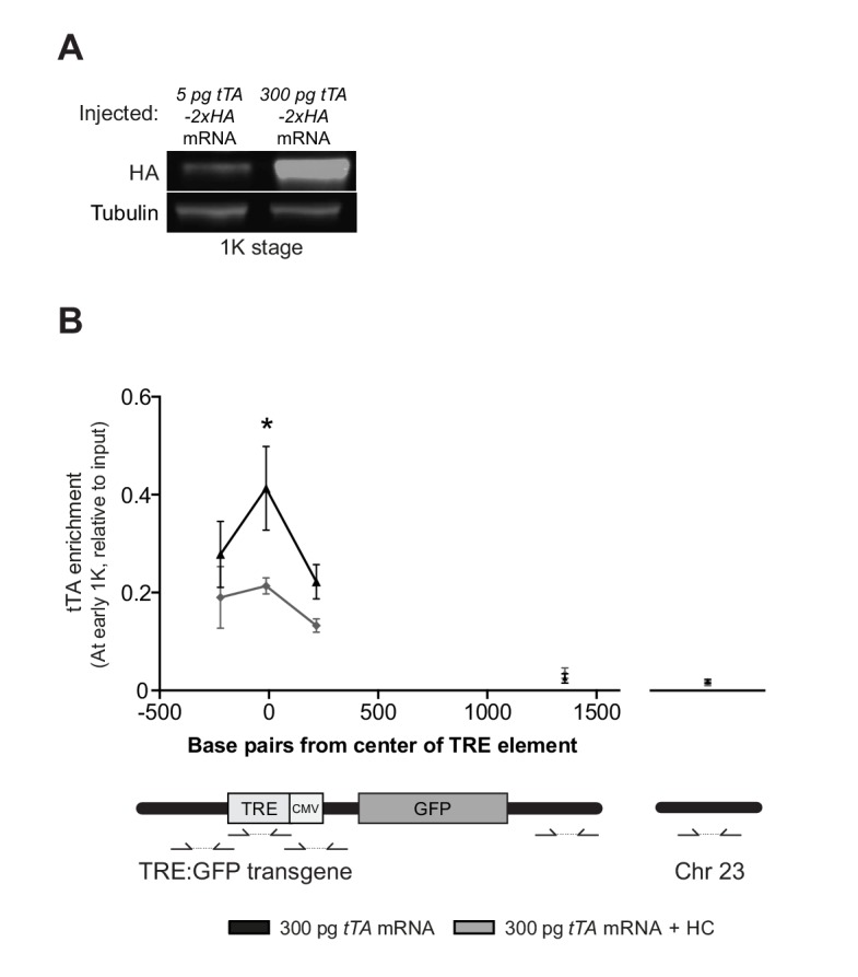 Figure 6—figure supplement 1.