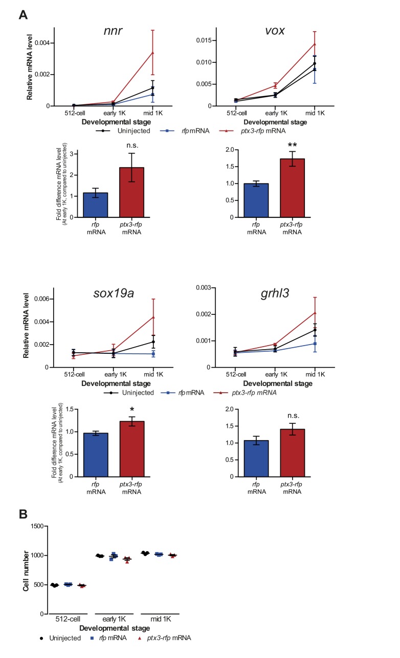 Figure 3—figure supplement 1.