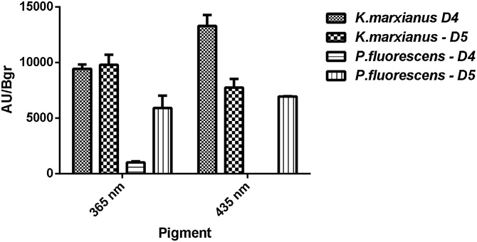 Fig. 5