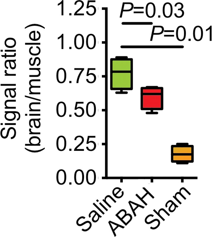 Figure 3d: