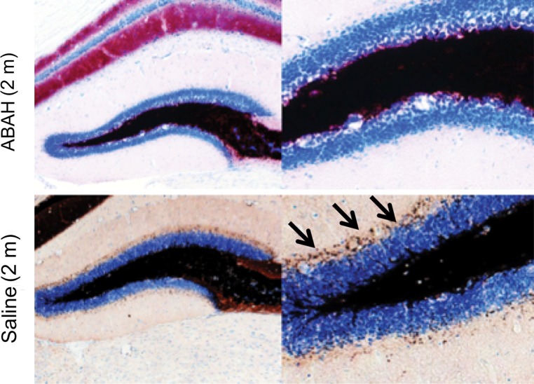 Figure 5b: