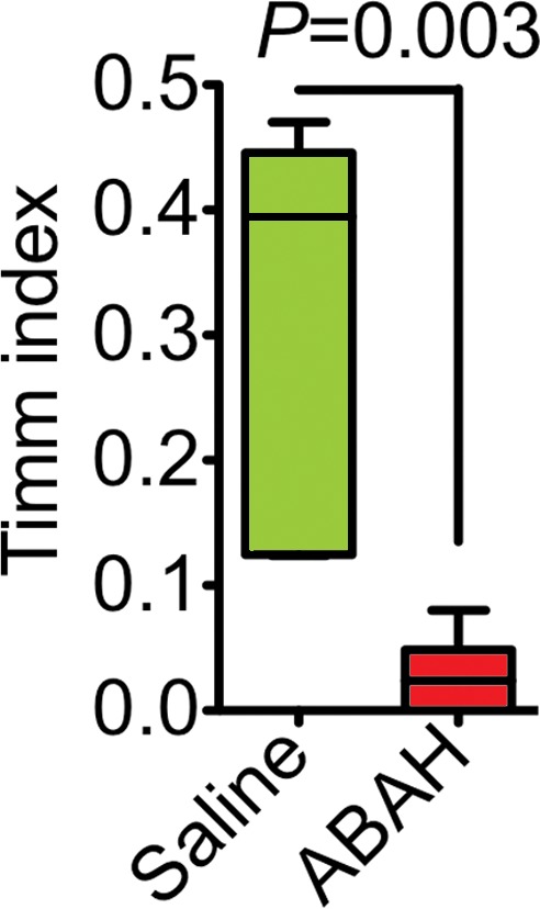 Figure 5c: