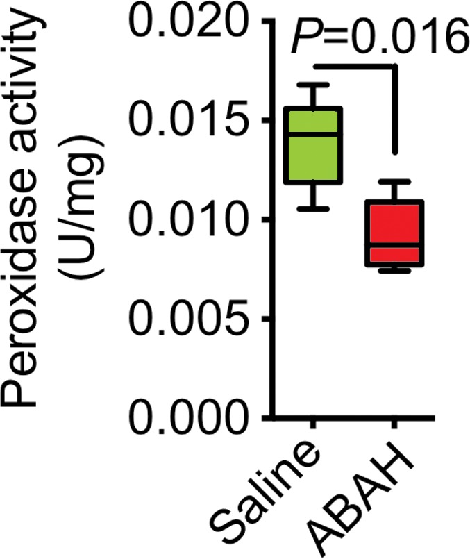 Figure 3a: