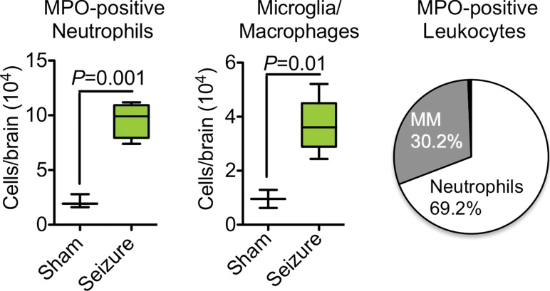 Figure 2a: