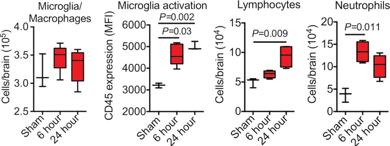 Figure 1b: