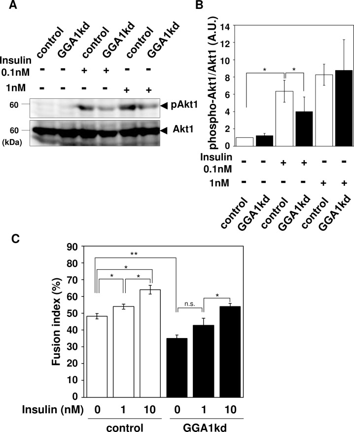 Fig 8