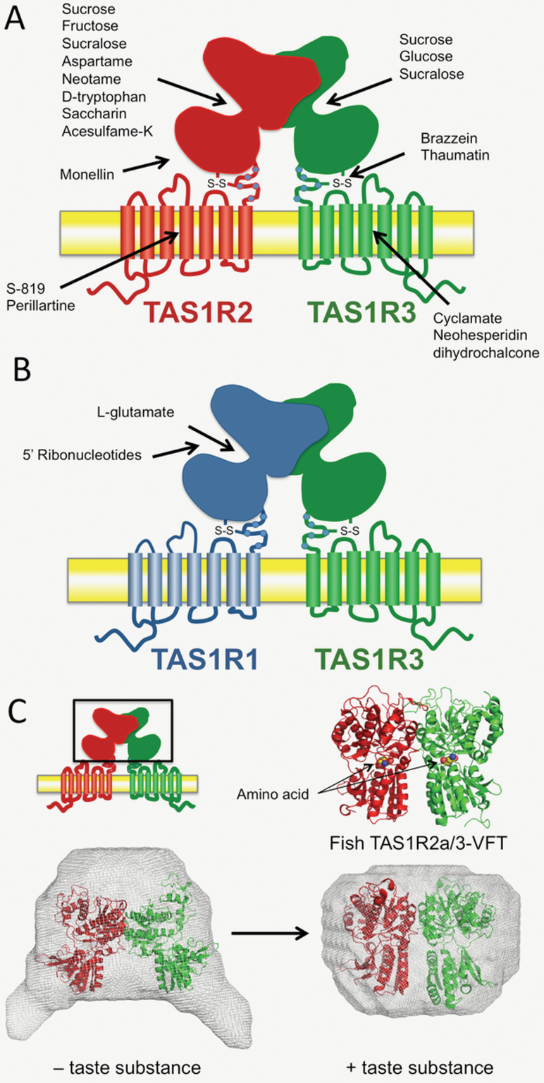 Figure 2.