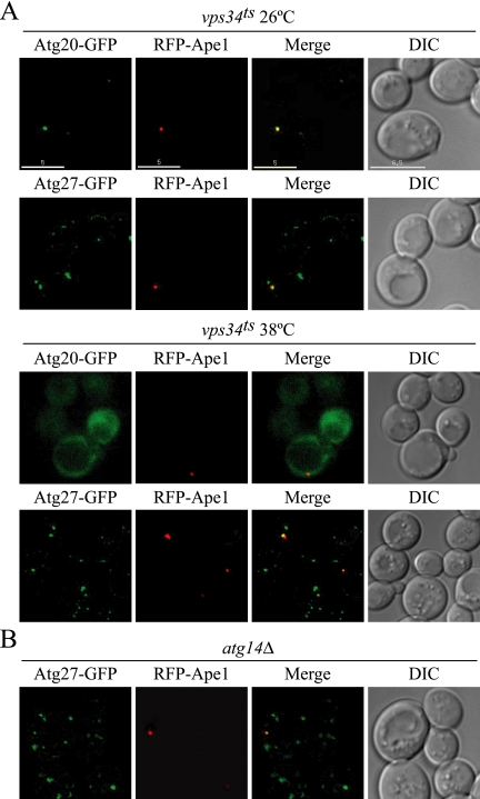 Figure 7.