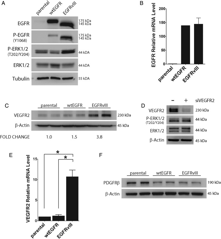 Fig. 2.