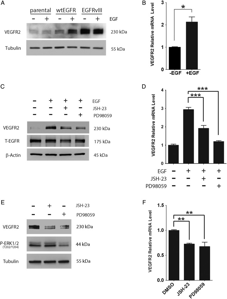 Fig. 4.