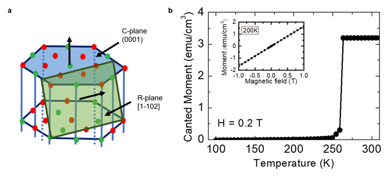 Extended Data Figure 1