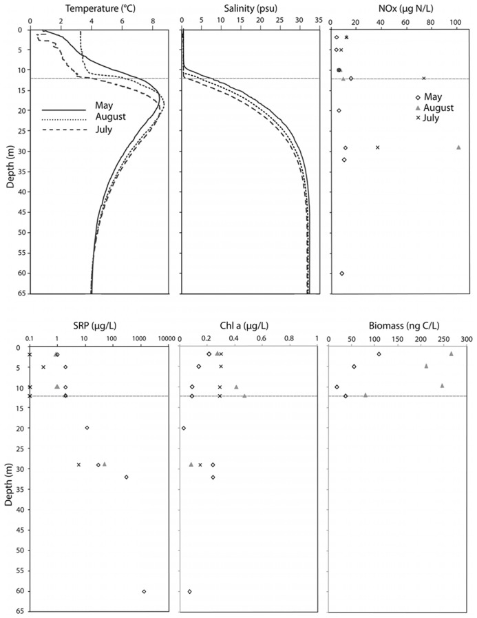 FIGURE 1