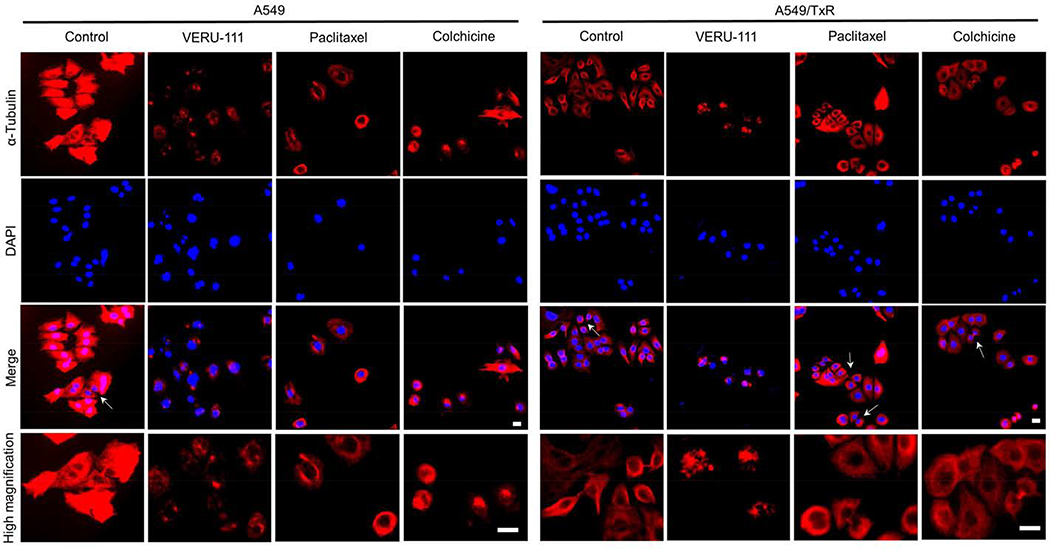 Figure 4: