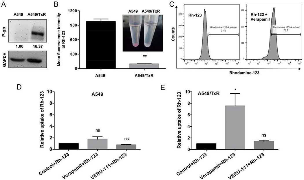 Figure 3: