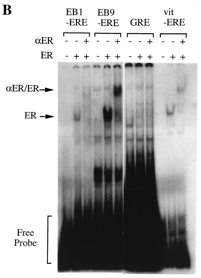 FIG. 6