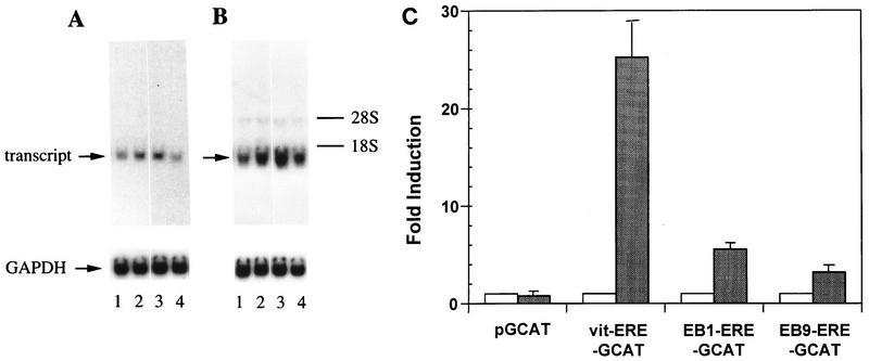 FIG. 7