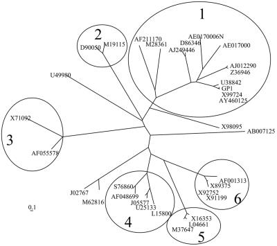 FIG. 5.