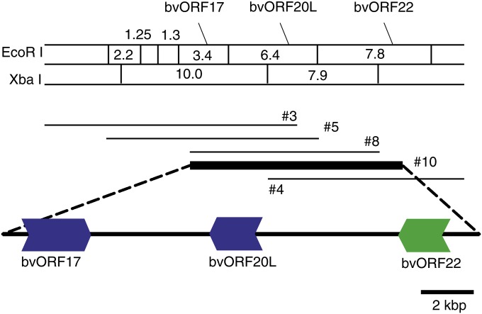 Figure 6 