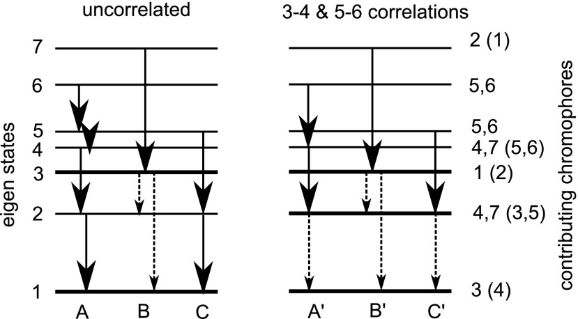 FIG. 2.