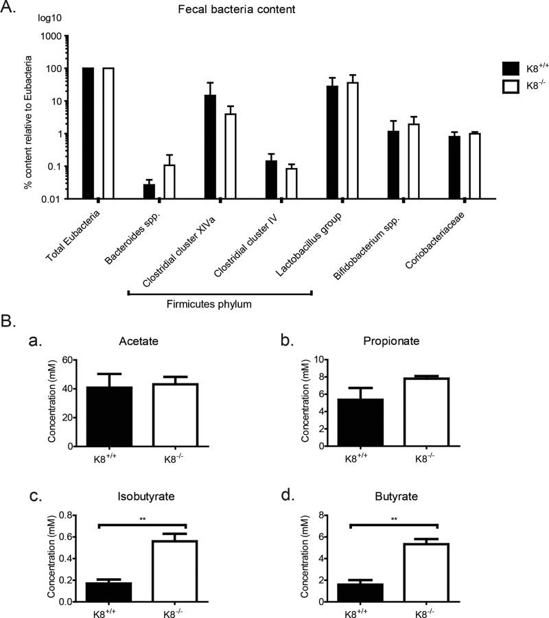 FIGURE 6: