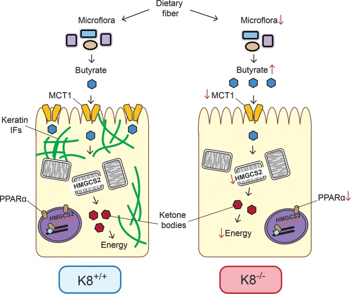 FIGURE 7: