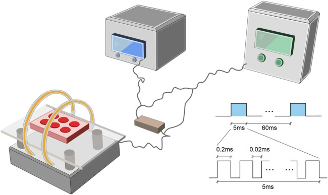 FIGURE 1